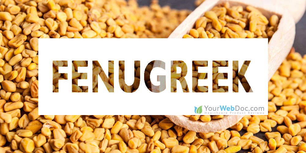 Fenugreek for Sperm Production