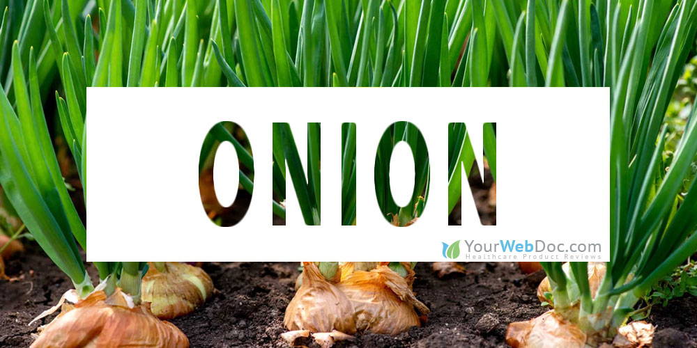 Onion To Improve Erectile Function