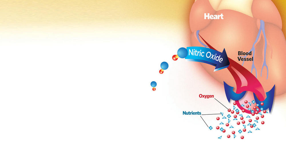 Cardiovascular Benefits of Nitric Oxide